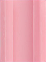 Fleshlight Pink Lady Original